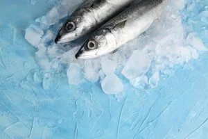 Хранение и заморозка рыбы и морепродуктов